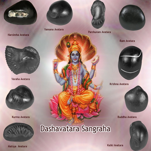Saligram Shila The Sacred Stone Of Lord Vishnu - Anand Soni